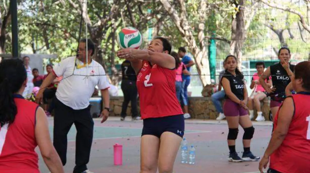 VOLEIBOL HS (50)